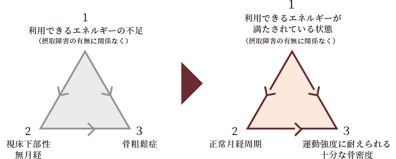 女性アスリートの三主徴（Female Athlete Triad）