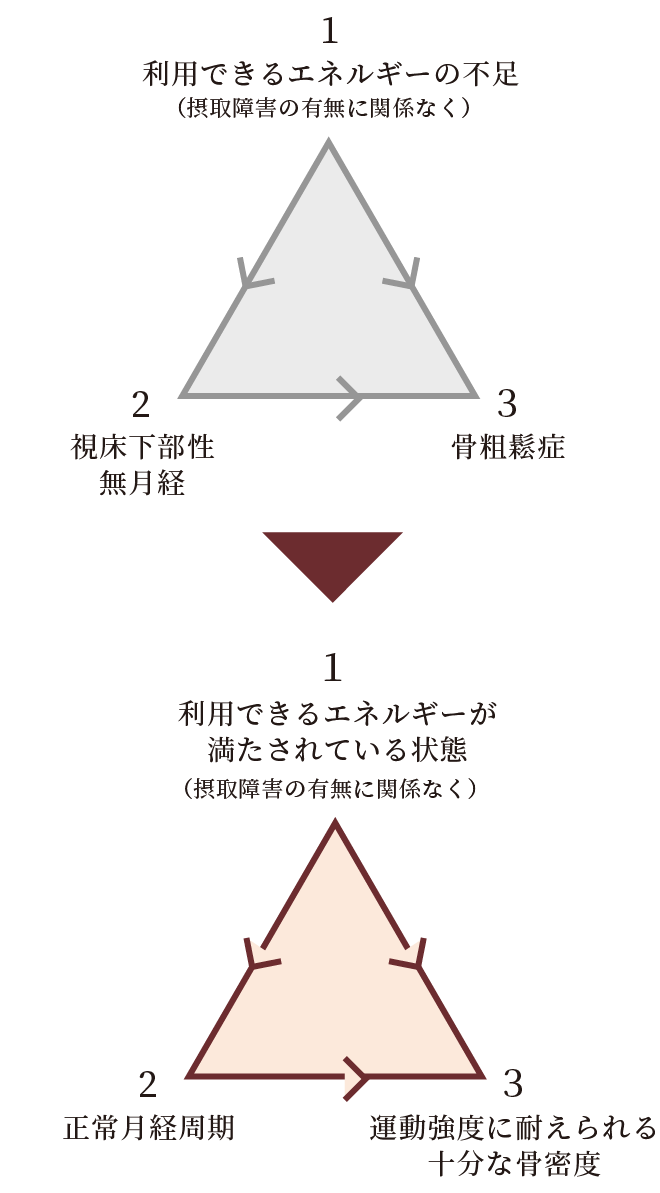 女性アスリートの三主徴（Female Athlete Triad）